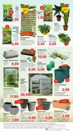 Wiglo Wunderland Prospekt woche 10 Seite 11