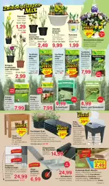 Wiglo Wunderland Prospekt woche 10 Seite 7