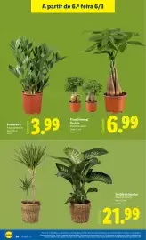 Folheto Lidl semana 10 Página 30