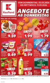Kaufland Prospekt Seite 13
