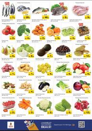 Nesto catalogue Page 4