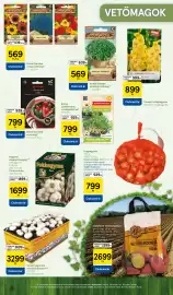 Tesco akciós újság Oldal 3