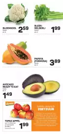 Ekoplaza folder week 10 Pagina 9