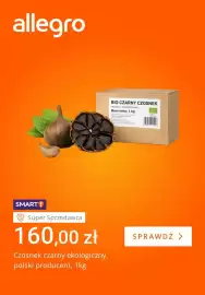 Allegro gazetka tydzień 9 Strona 3