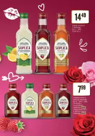 Dino gazetka | Alkohole Strona 8