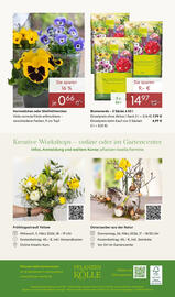 Pflanzen Kölle Prospekt woche 10 Seite 20