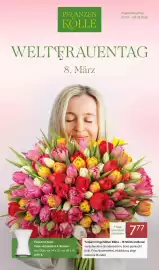 Pflanzen Kölle Prospekt woche 10 Seite 1