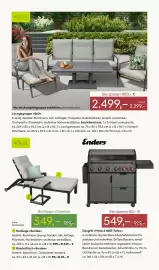 Pflanzen Kölle Prospekt woche 10 Seite 13