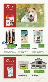 Pflanzen Kölle Prospekt woche 10 Seite 14