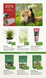 Pflanzen Kölle Prospekt woche 10 Seite 15