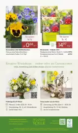 Pflanzen Kölle Prospekt woche 10 Seite 20