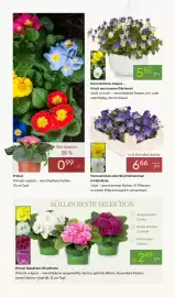 Pflanzen Kölle Prospekt woche 10 Seite 4