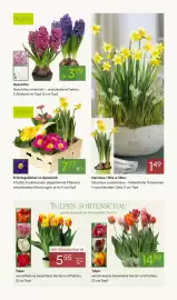Pflanzen Kölle Prospekt woche 10 Seite 5