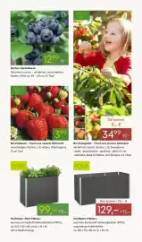 Pflanzen Kölle Prospekt woche 10 Seite 9