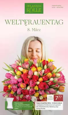 Pflanzen Kölle Prospekt (gültig bis 8-03)