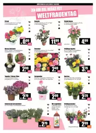 V Baumarkt Prospekt woche 10 Seite 7