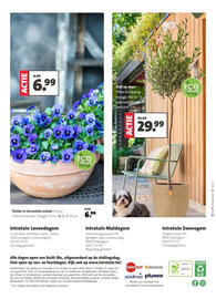 Intratuin folder week 10 Pagina 8