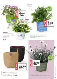 Intratuin folder week 10 Pagina 3