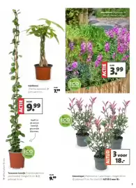 Intratuin folder week 10 Pagina 5