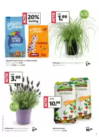 Intratuin folder week 10 Pagina 7