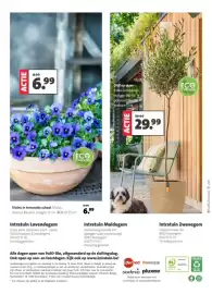 Intratuin folder week 10 Pagina 8