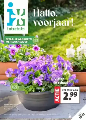 Intratuin folder (geldig t/m 8-03)