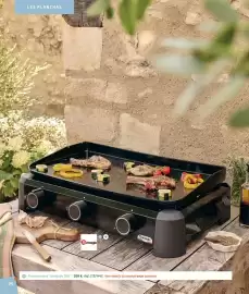 Catalogue Jardiland page 74