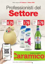 Volantino Caramico Pagina 1