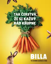 Billa leták Strana 39