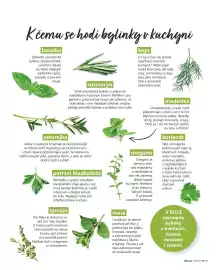 Billa leták Strana 49