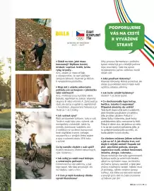 Billa leták Strana 53