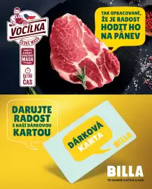 Billa leták Strana 7