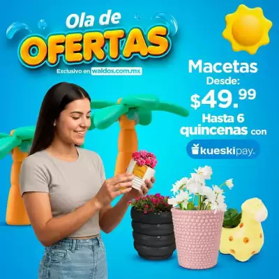 Catálogo Waldos (válido hasta 28-02)