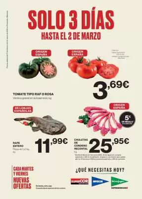 Catálogo Hipercor (válido hasta el 2-03)