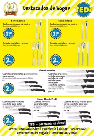 Catálogo TEDi semana 9 Página 11