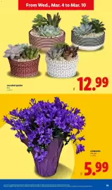 Lidl weekly ad week 10 Page 19