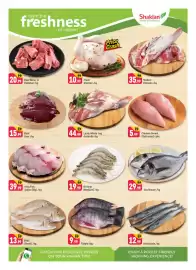 Shaklan leaflet Page 3