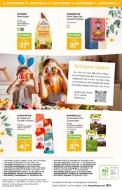 Prokopp Flugblatt Seite 8