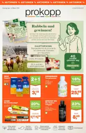 Prokopp Flugblatt Seite 1