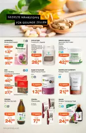 Prokopp Flugblatt Seite 2