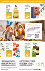 Prokopp Flugblatt Seite 8