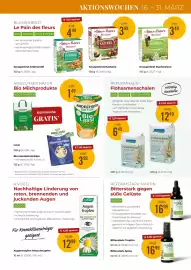 Martin Reformstark Flugblatt Seite 15