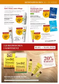 Martin Reformstark Flugblatt Seite 19