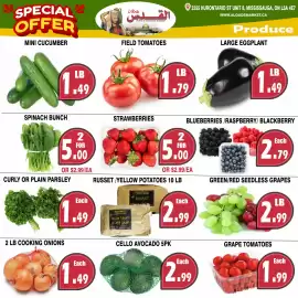 Al-Quds Supermarket flyer week 9 Page 3