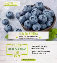 Interspar akciós újság hét 10 Oldal 22