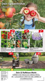 Raiffeisen Markt Prospekt Seite 8