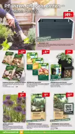 Raiffeisen Markt Prospekt Seite 3