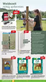 Raiffeisen Markt Prospekt Seite 7