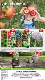 Raiffeisen Markt Prospekt Seite 8