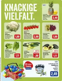 Feneberg Prospekt Seite 5